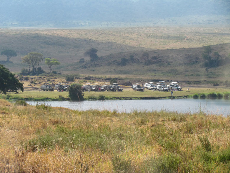 esta es la aglomeracion del gorongoro